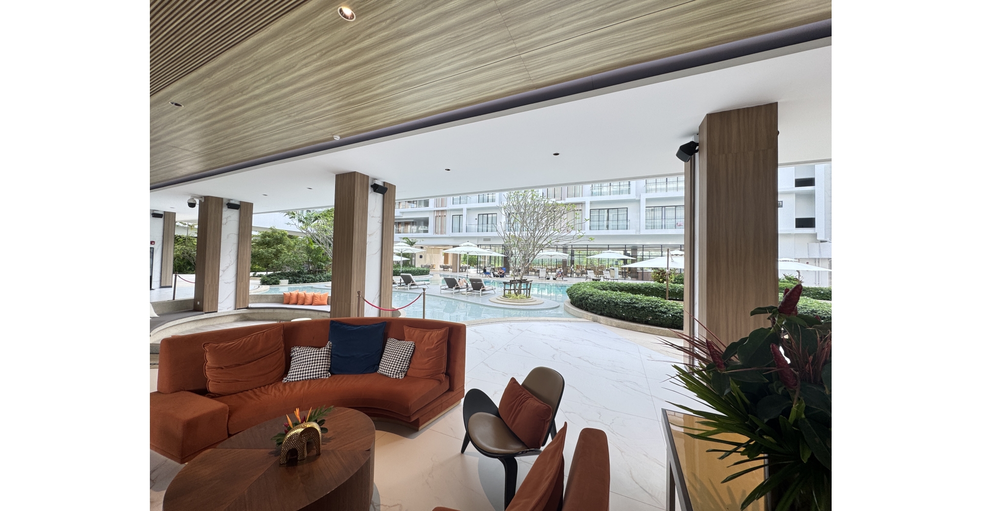 IMG_1078 - Miao Jack